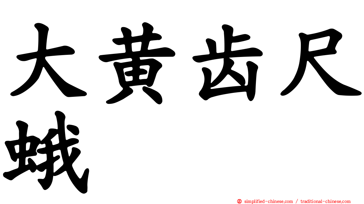 大黄齿尺蛾