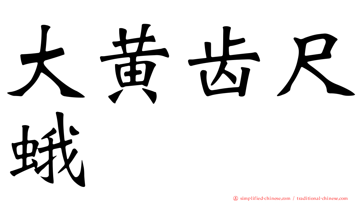 大黄齿尺蛾