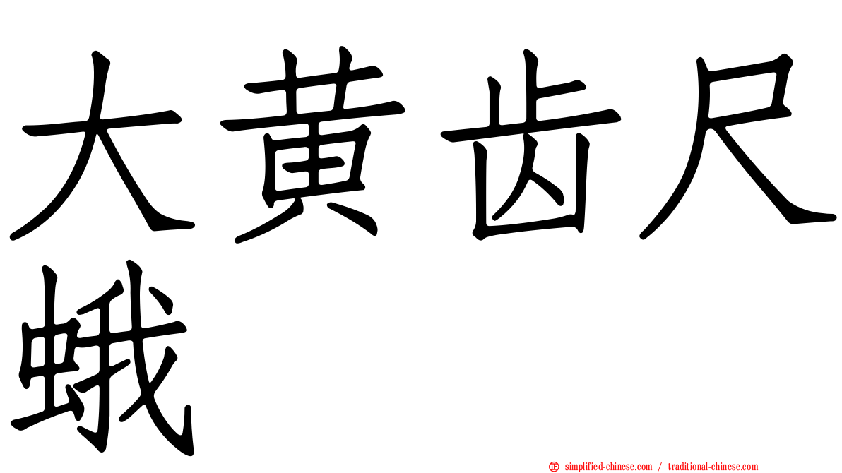 大黄齿尺蛾