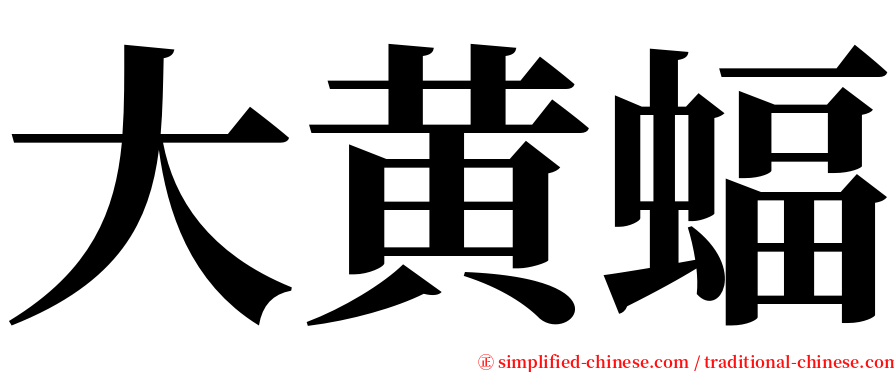 大黄蝠 serif font