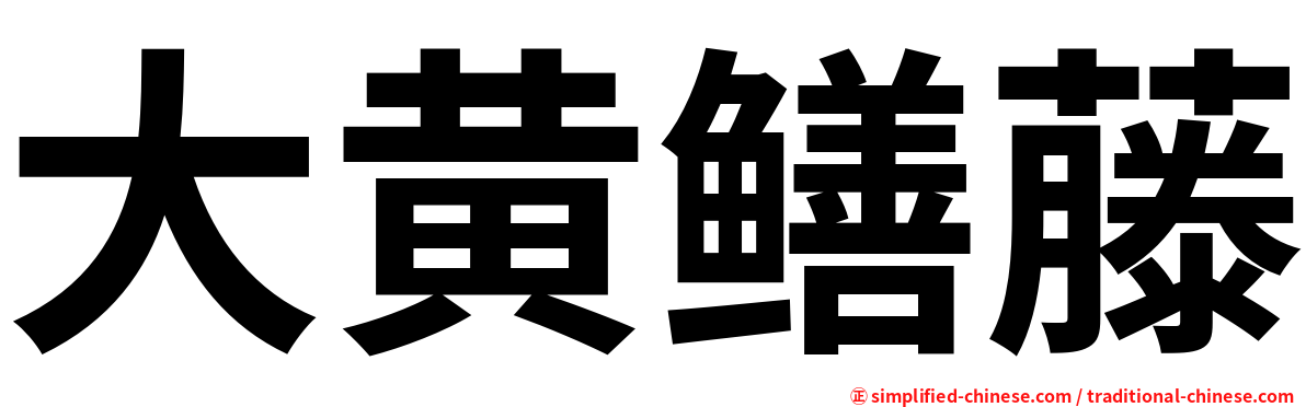 大黄鳝藤