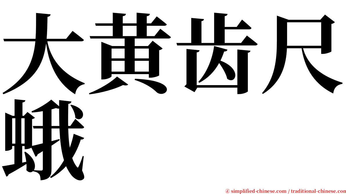 大黄齿尺蛾 serif font
