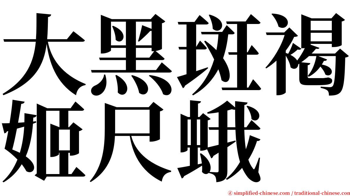 大黑斑褐姬尺蛾 serif font
