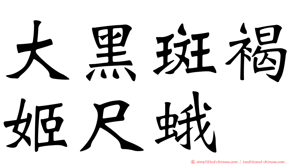 大黑斑褐姬尺蛾