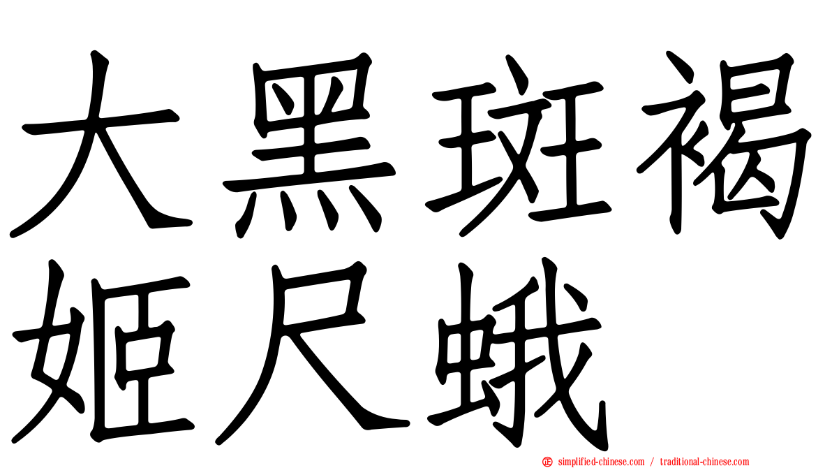 大黑斑褐姬尺蛾