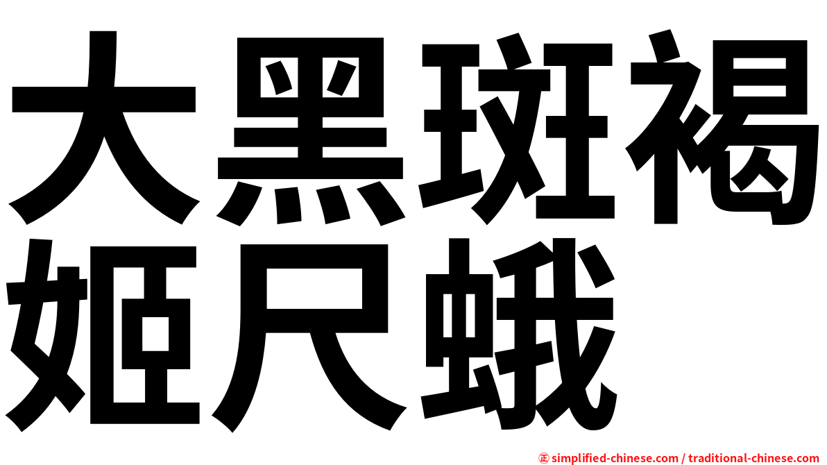 大黑斑褐姬尺蛾
