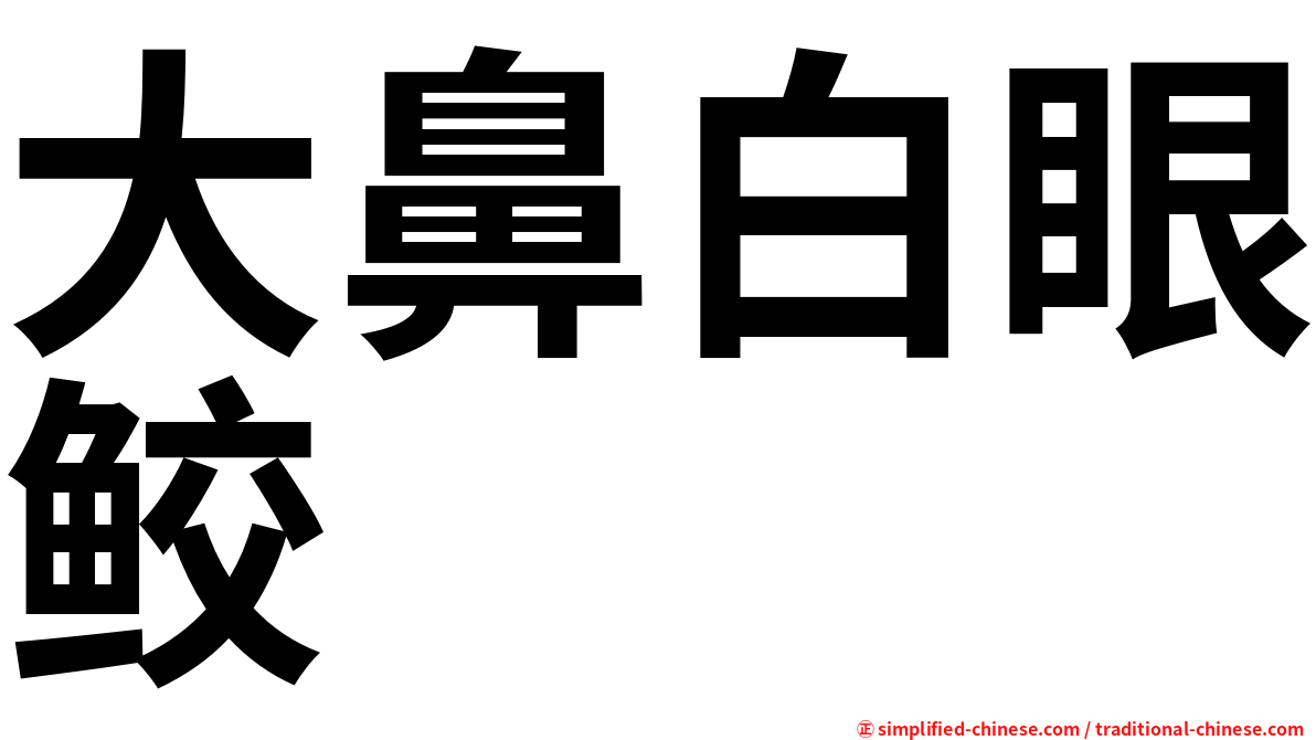 大鼻白眼鲛
