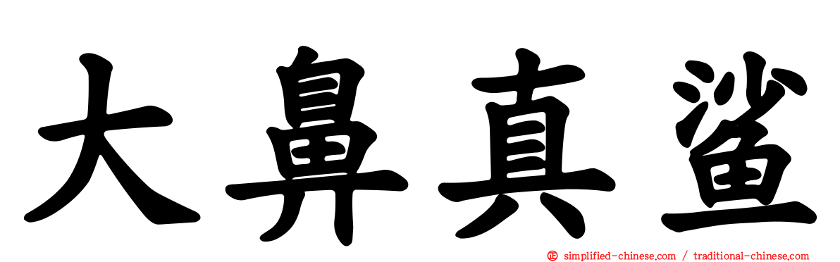 大鼻真鲨