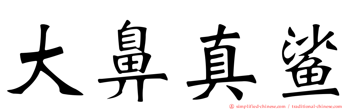 大鼻真鲨