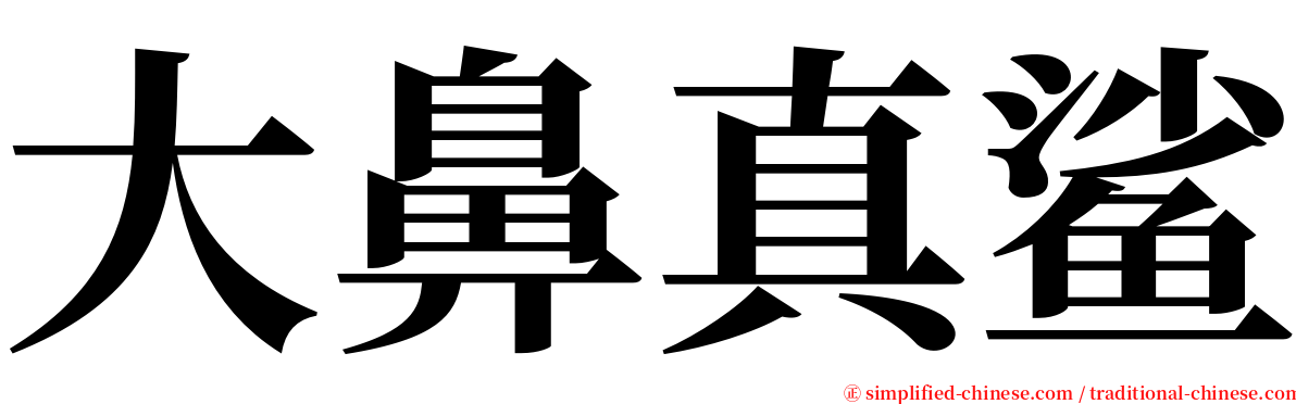 大鼻真鲨 serif font