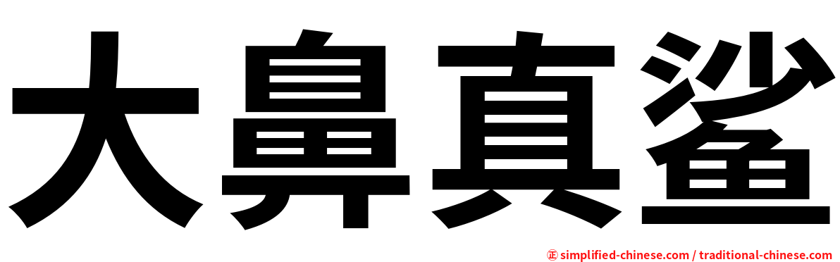 大鼻真鲨