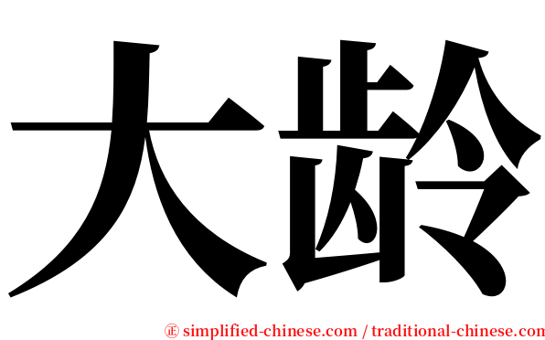 大龄 serif font