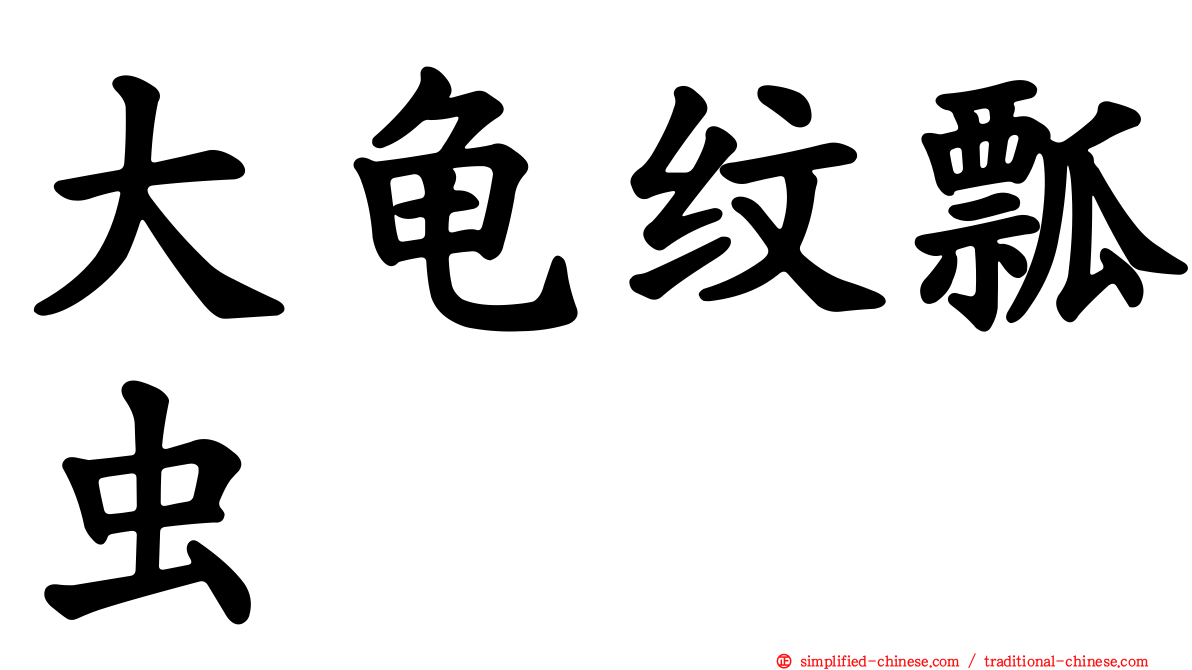 大龟纹瓢虫
