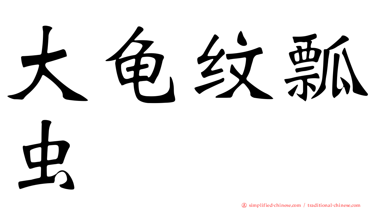 大龟纹瓢虫