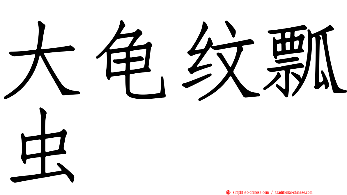 大龟纹瓢虫