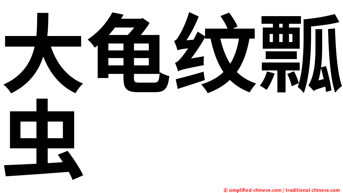 大龟纹瓢虫