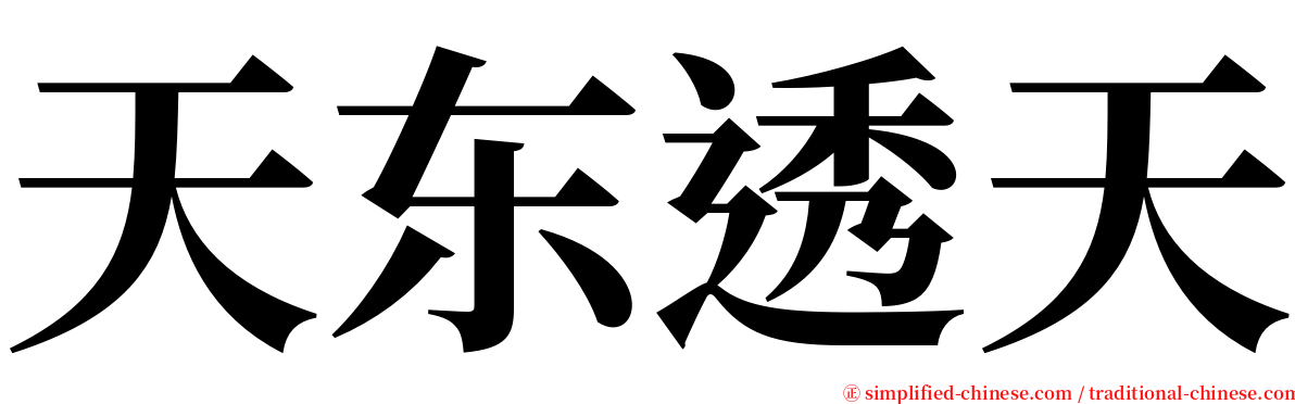 天东透天 serif font