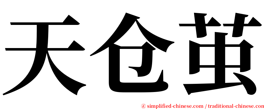 天仓茧 serif font