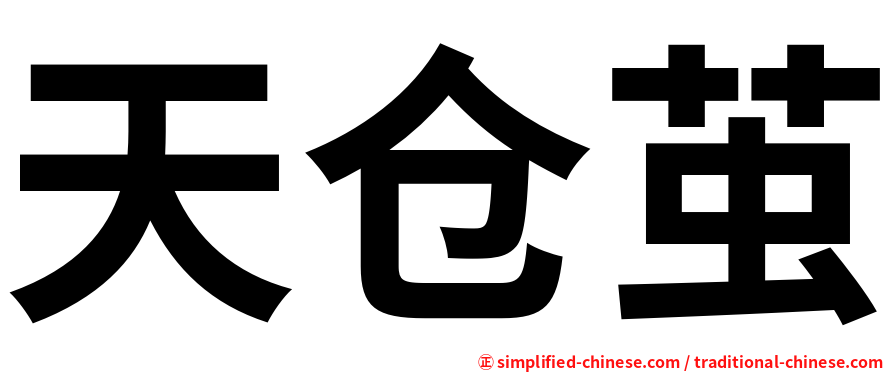 天仓茧
