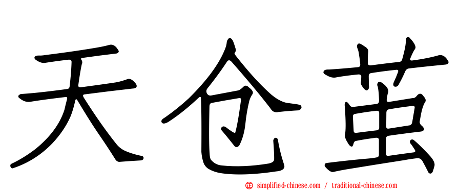 天仓茧