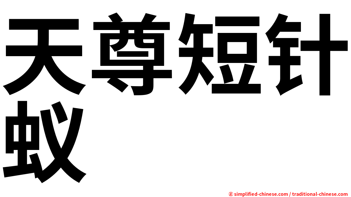 天尊短针蚁