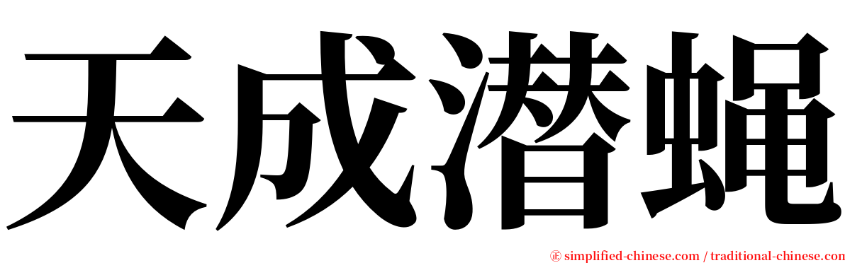 天成潜蝇 serif font