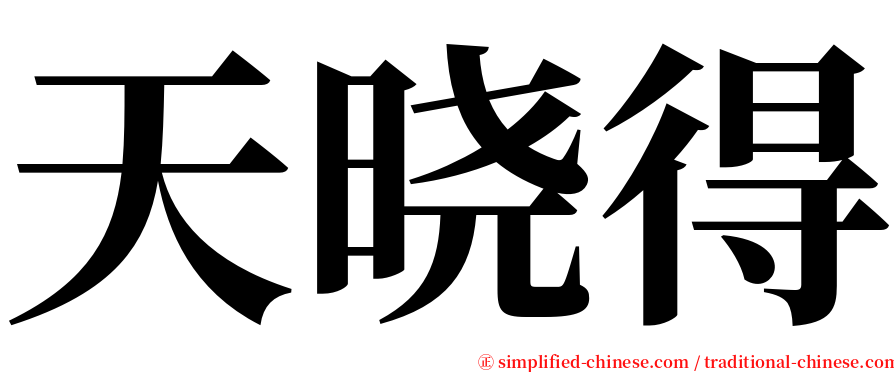 天晓得 serif font