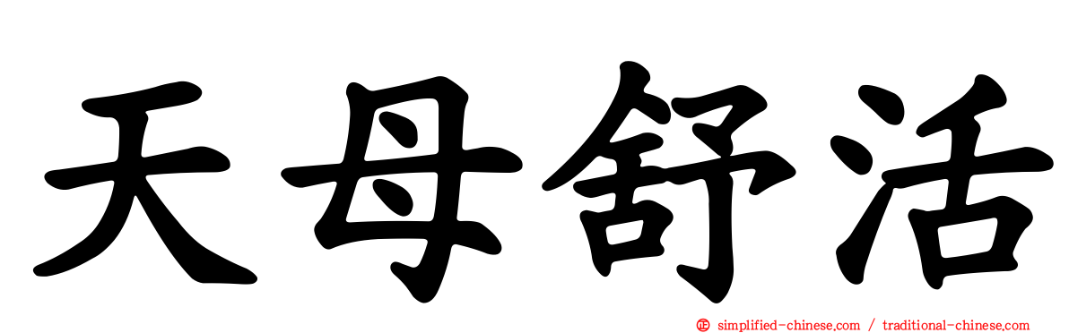 天母舒活