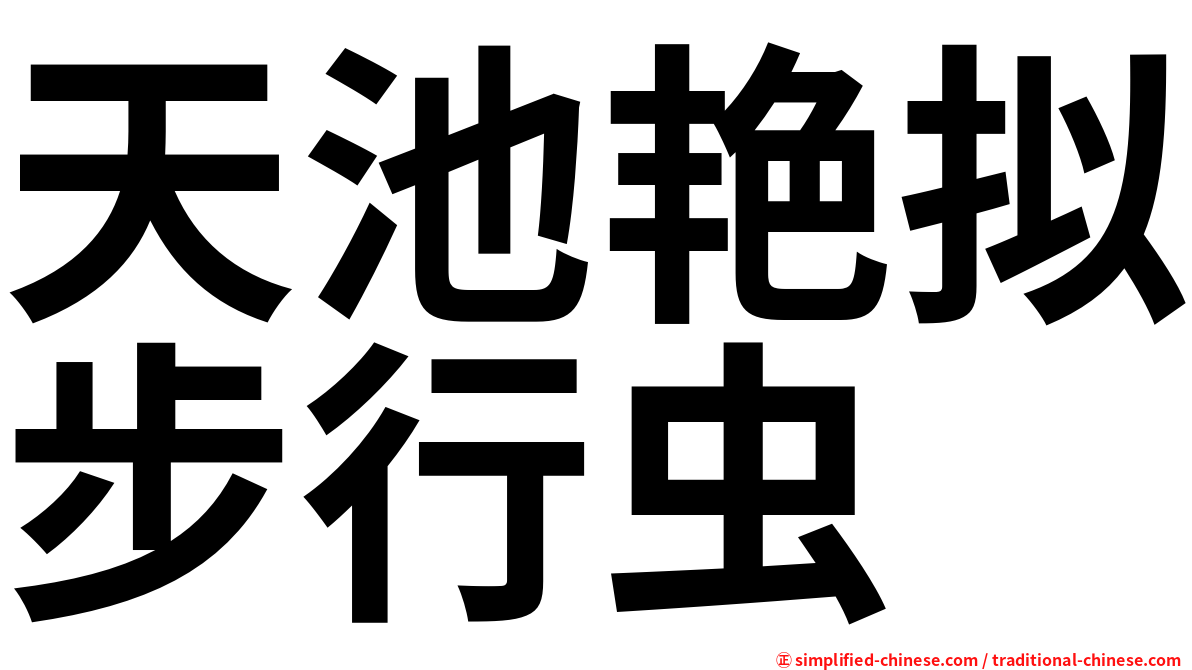 天池艳拟步行虫
