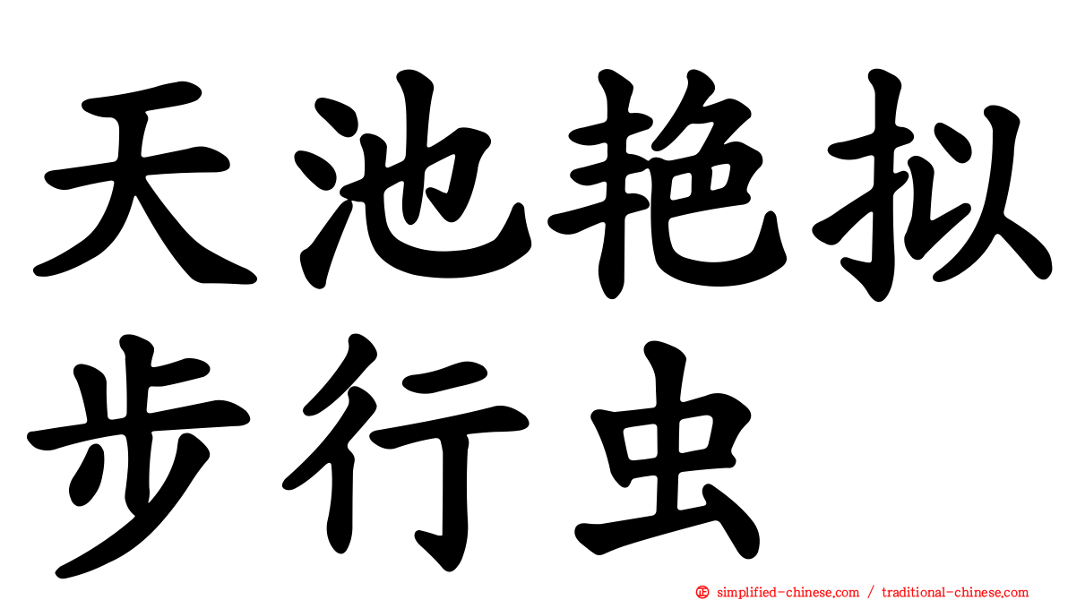 天池艳拟步行虫