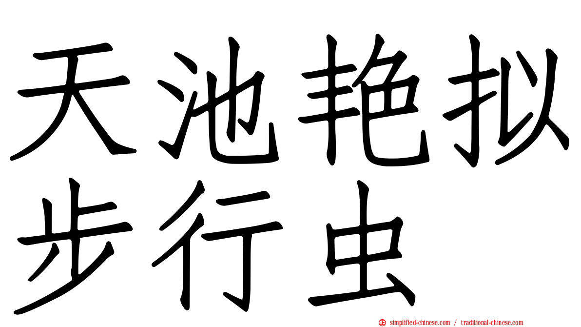 天池艳拟步行虫