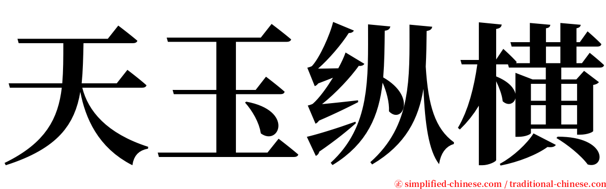 天玉纵横 serif font