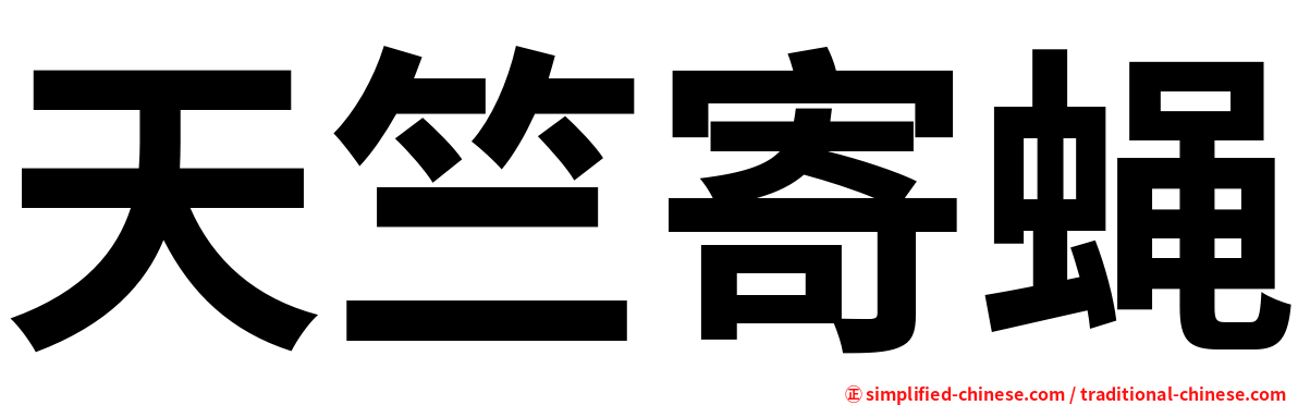 天竺寄蝇