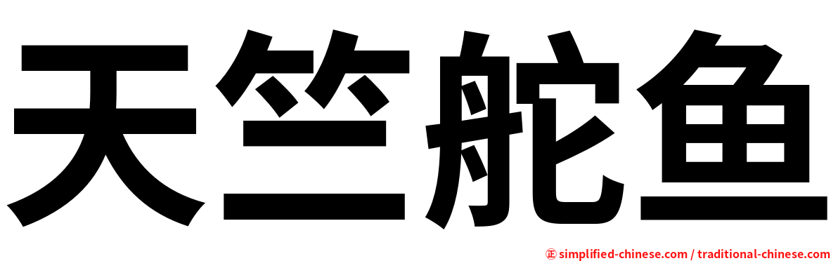 天竺舵鱼