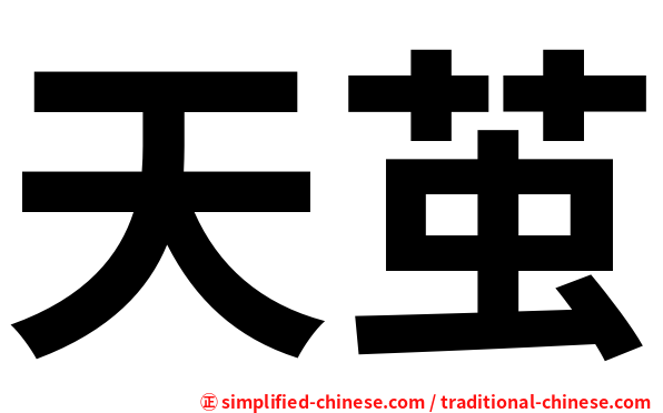 天茧