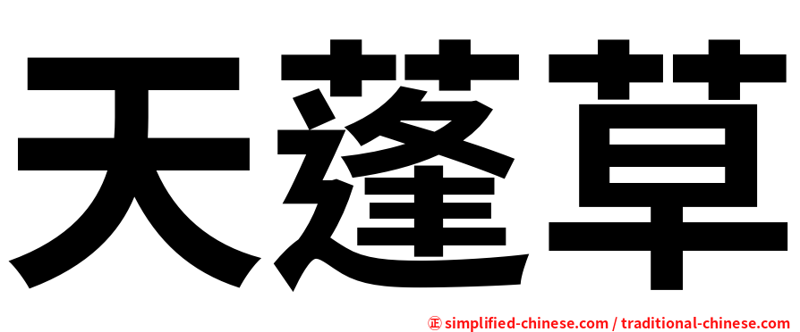 天蓬草