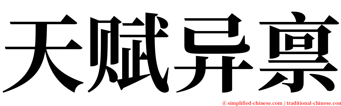 天赋异禀 serif font