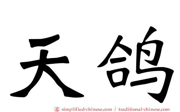 天鸽