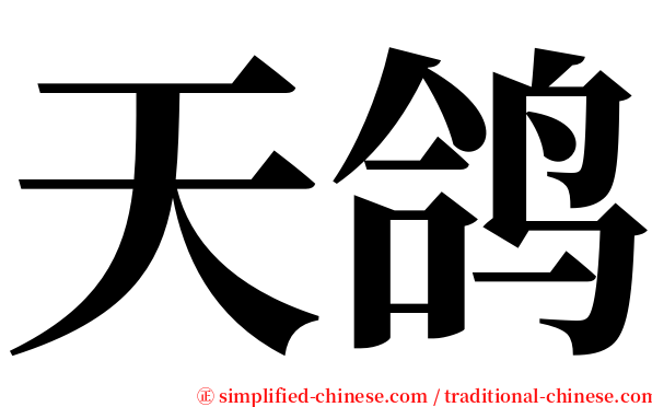 天鸽 serif font