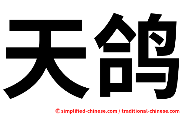 天鸽