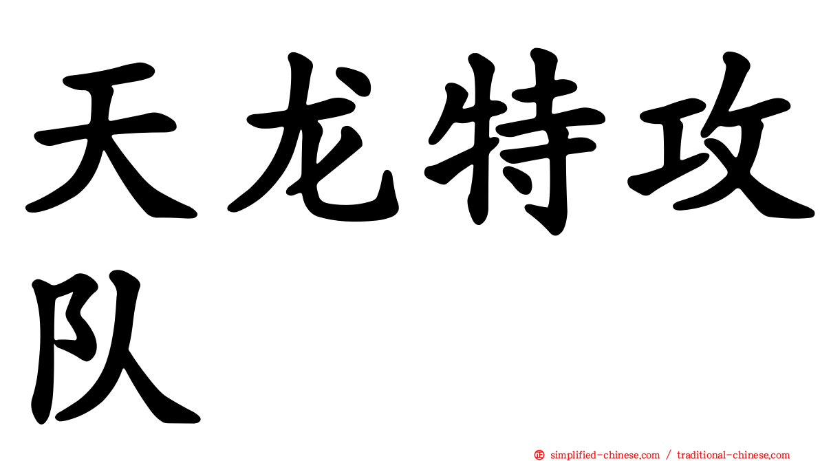 天龙特攻队