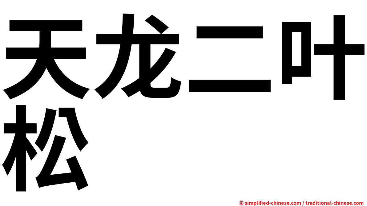 天龙二叶松