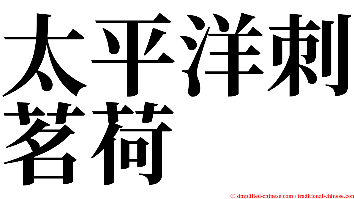 太平洋刺茗荷 serif font