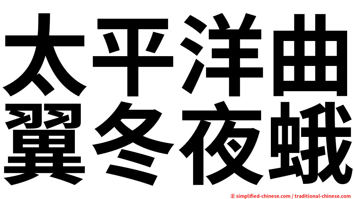 太平洋曲翼冬夜蛾