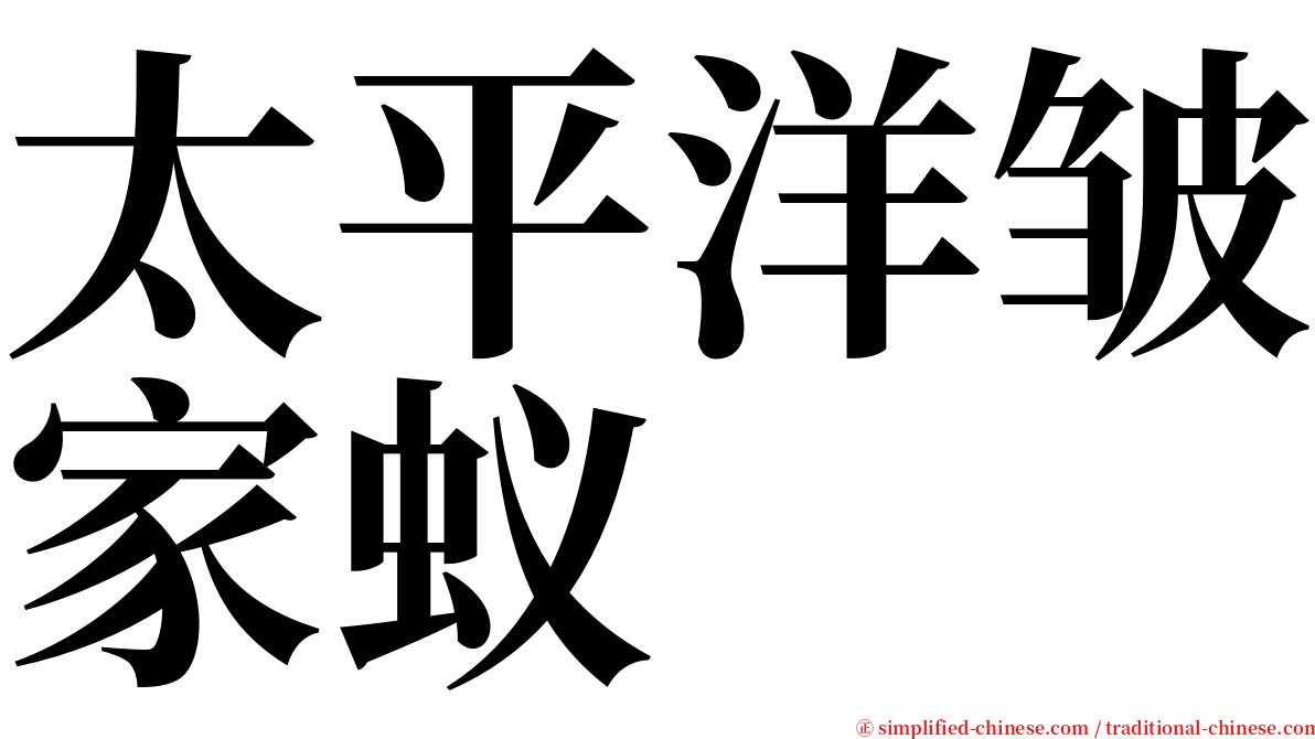 太平洋皱家蚁 serif font