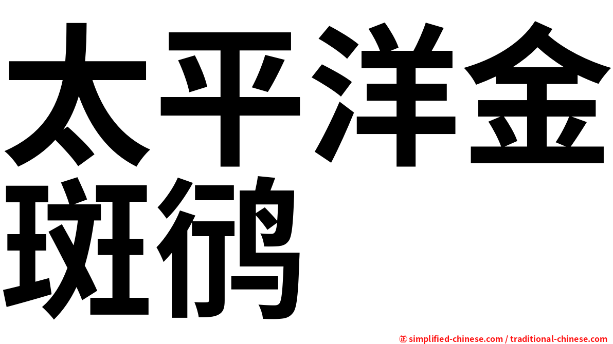 太平洋金斑鸻