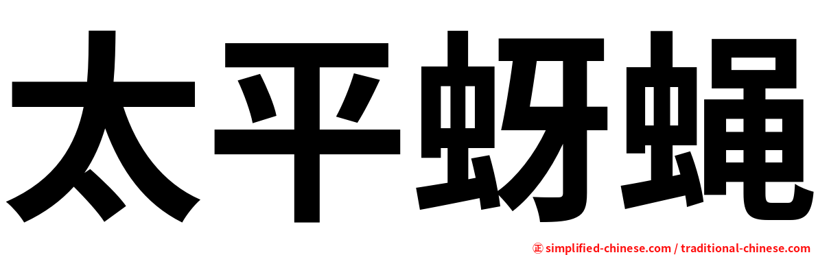 太平蚜蝇