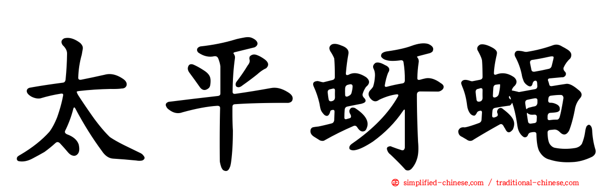太平蚜蝇