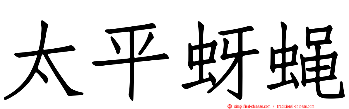 太平蚜蝇