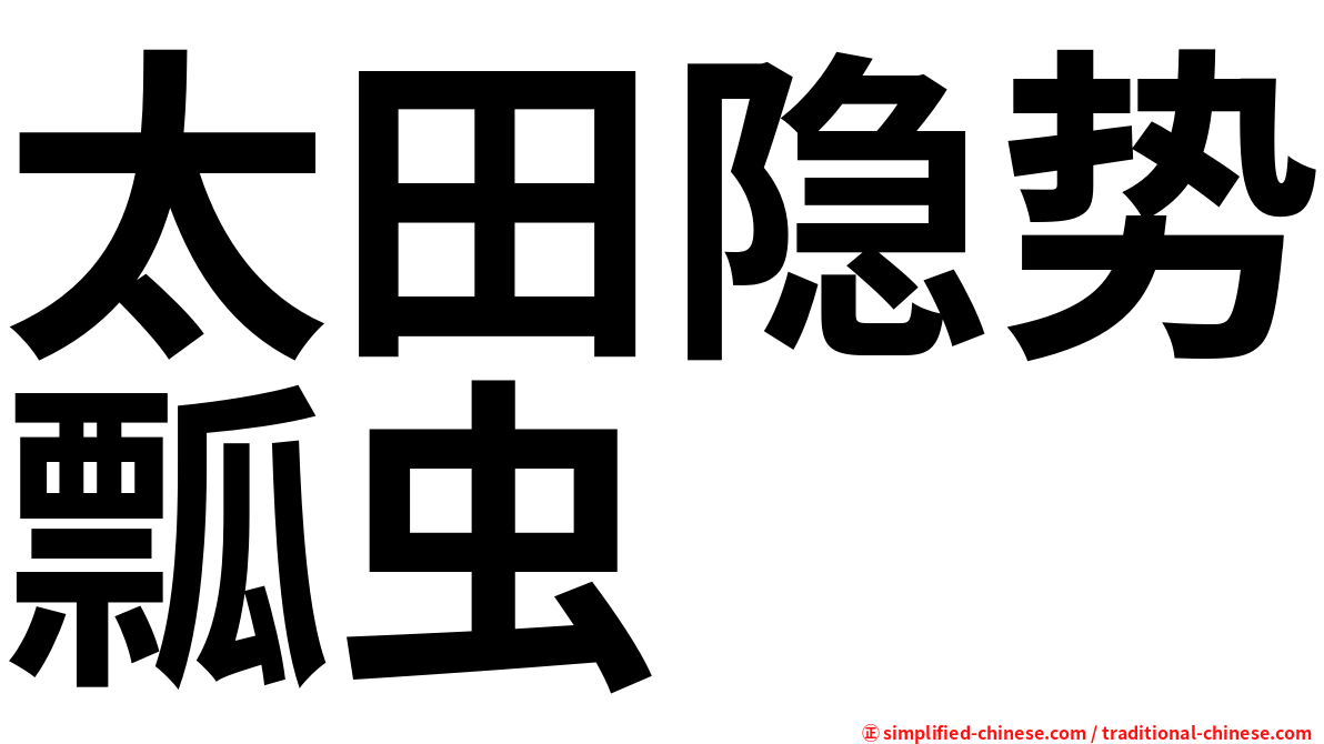 太田隐势瓢虫